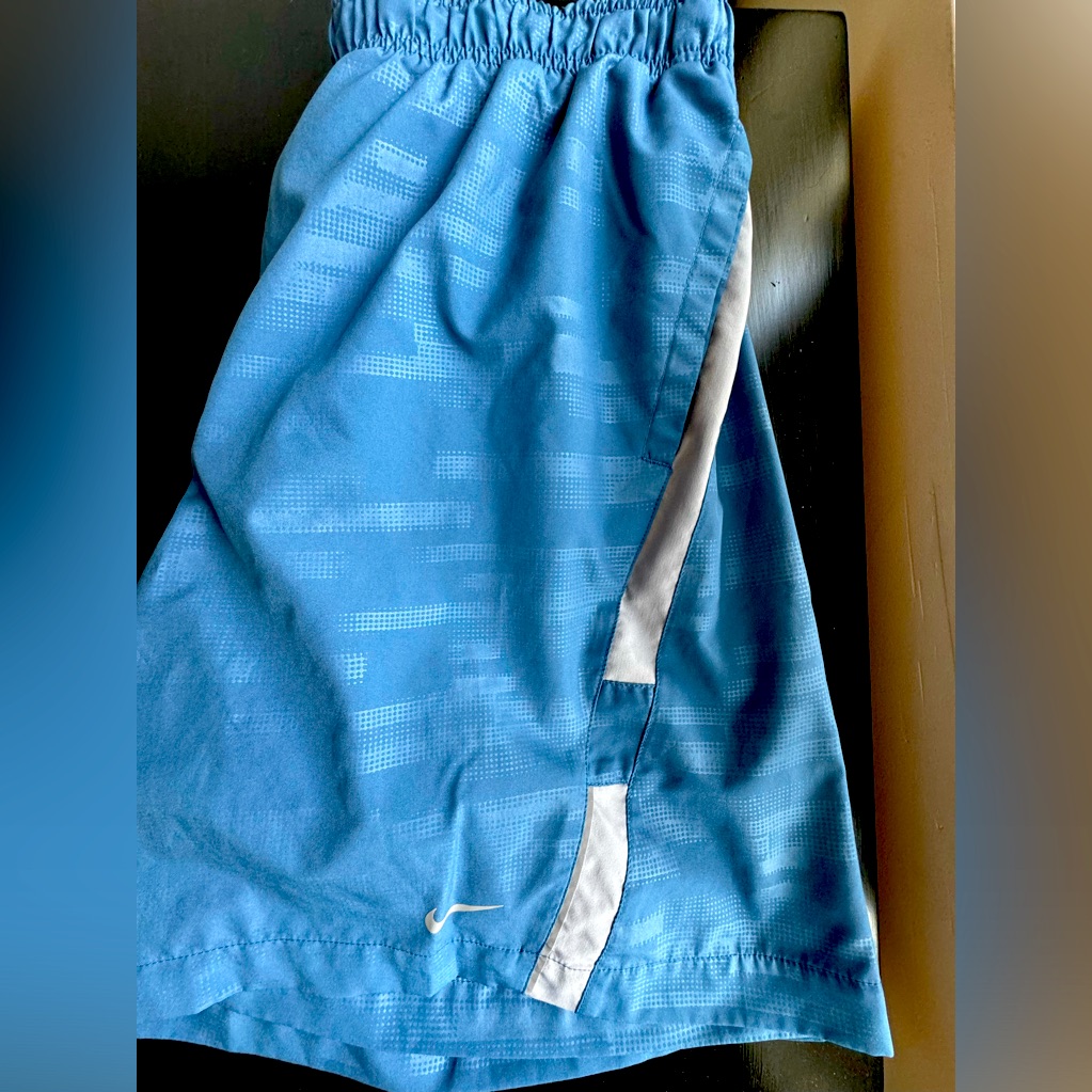 Nike Dri Fit Men’s Trunks